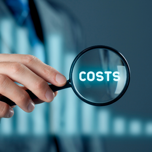 Cost Savings and Budget Control