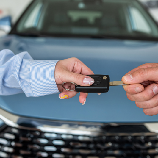 Real-World Applications: How Infrastructure Projects Use Rental Fleets