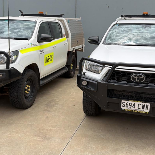 Why Passing a Vehicle Audit Matters