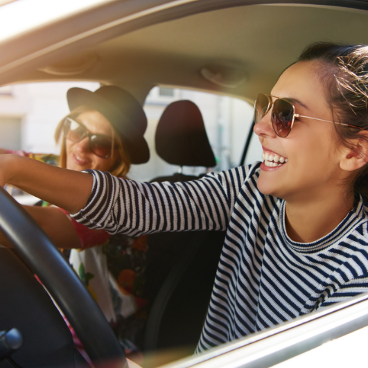 Sustainable Fleet Strategies