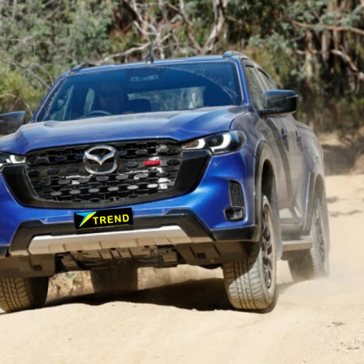 Avoiding Heat Stress on Long Drives