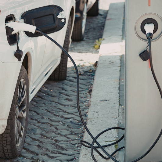 Electric Vehicle Rentals for Businesses