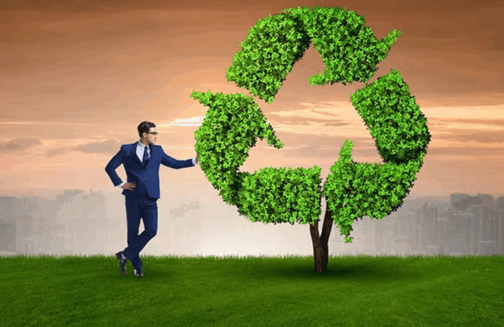 Environmental Impact