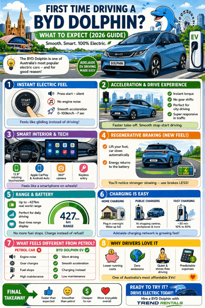 infographic First Time Driving a BYD Dolphin What to Expect (2026 Guide)