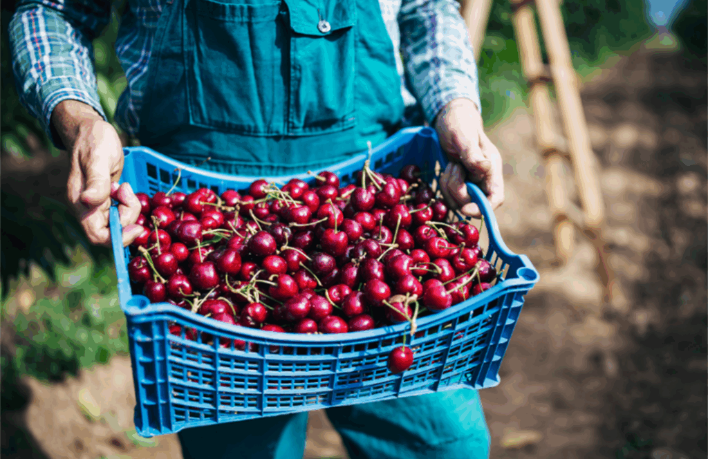 Flexible Rental Options for Seasonal Work