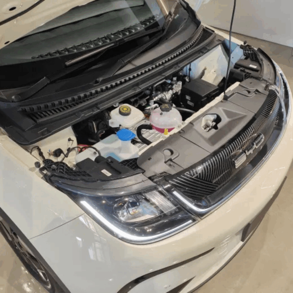 The Dolphin Starts Silently — No Engine Noise