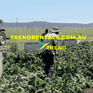 Transport Solutions for Seasonal Workers in Queensland Why Hiring a Minibus Makes Sense (2026 Guide)