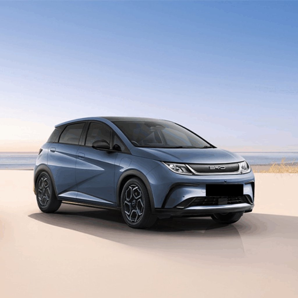 Who Should Hire a BYD Dolphin in Adelaide?