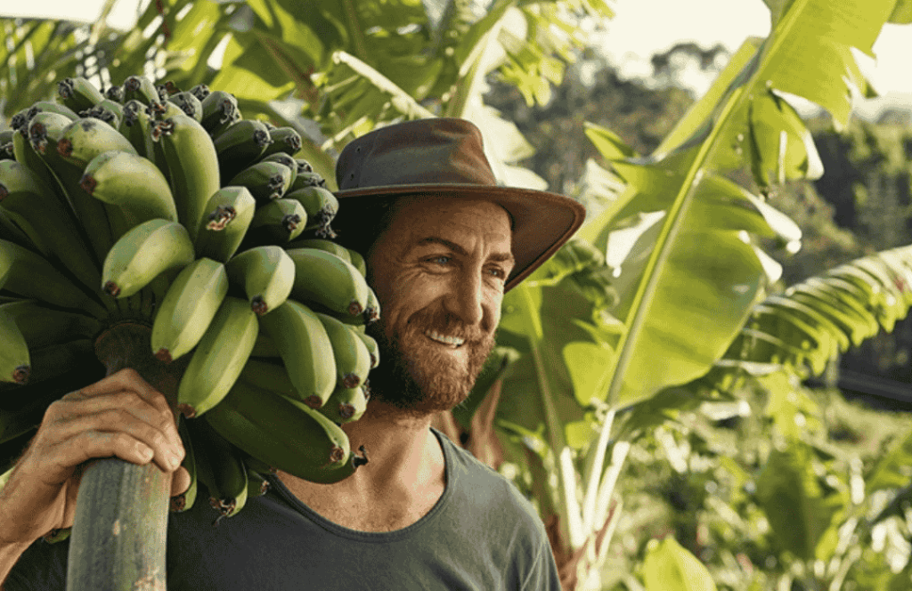 Why Transport Matters for Seasonal Workers in Queensland