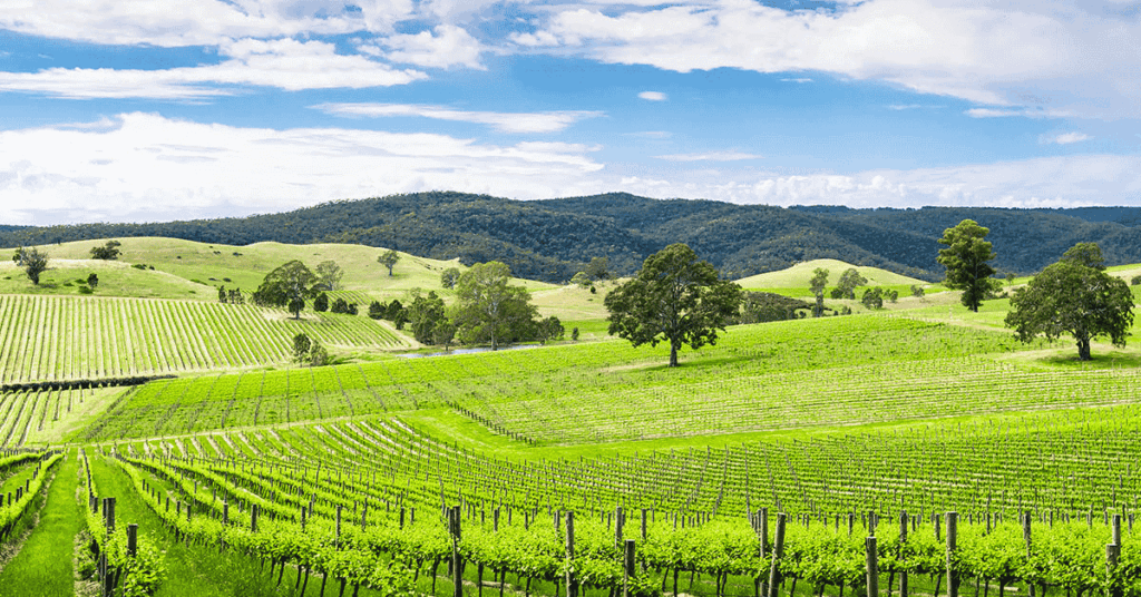 Adelaide to Barossa & Clare Valley (SA)