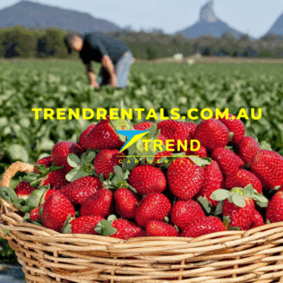 Best Vehicles for Fruit Picking Jobs in Australia