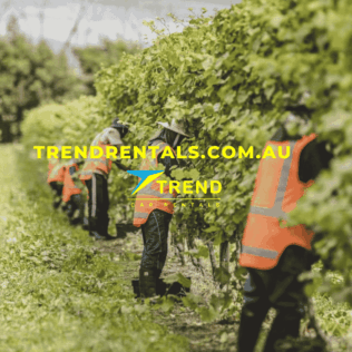 Daily Transport Logistics for Seasonal Workers A Practical Guide for Farms