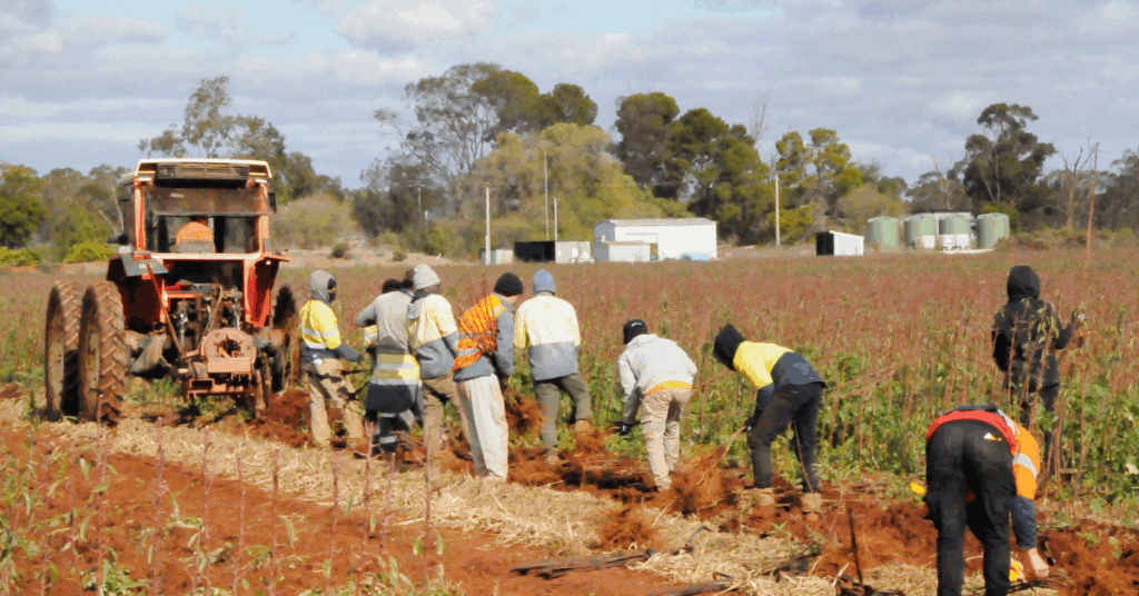 Real-World Example: Regional Farm Transport