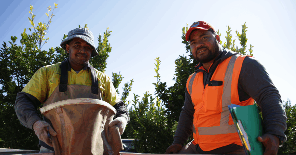 Why This Matters for PALM Scheme Employers