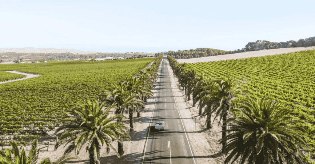 Barossa Valley