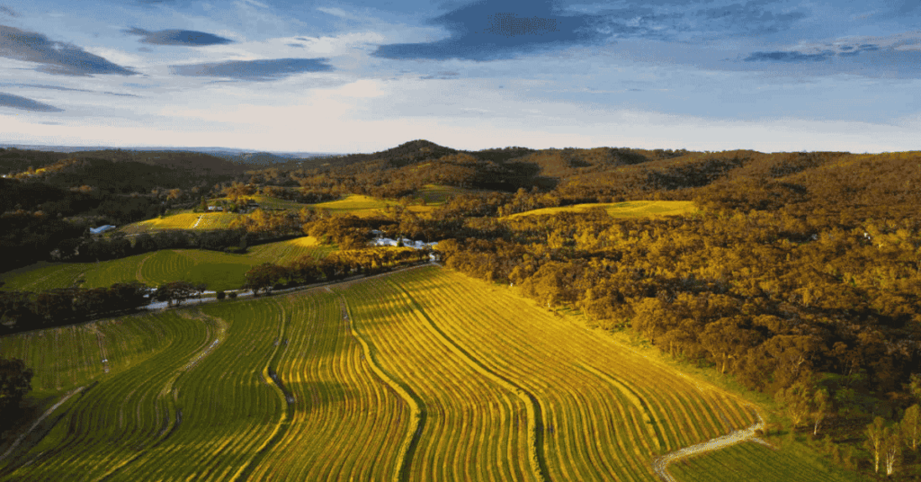 Clare Valley