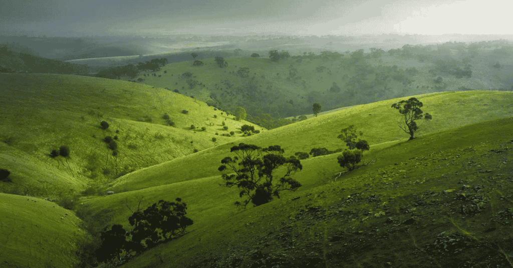 Adelaide Hills — Best Car: Chery Tiggo or Toyota Kluger