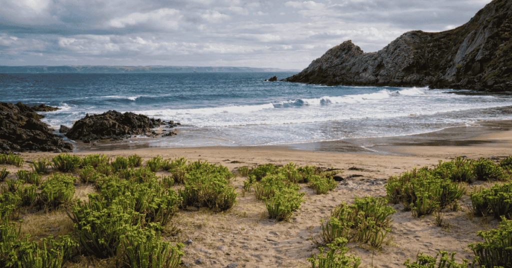 Deep Creek — Best Car: Toyota Prado